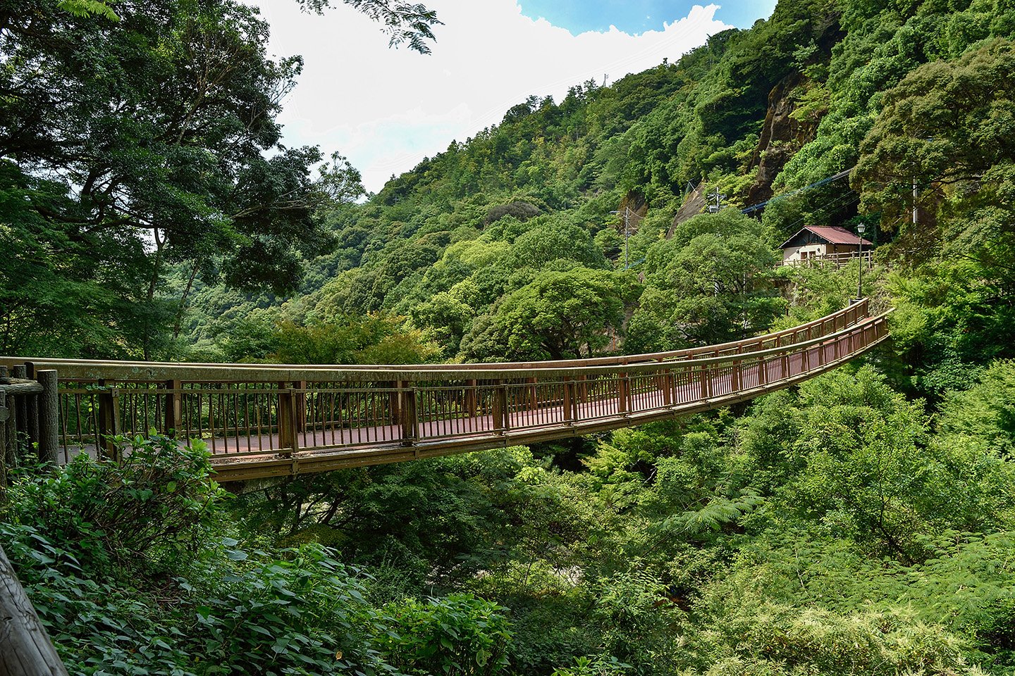 🏞️ 되돌아보는 폭포(미카에리노타키) 이미지 6